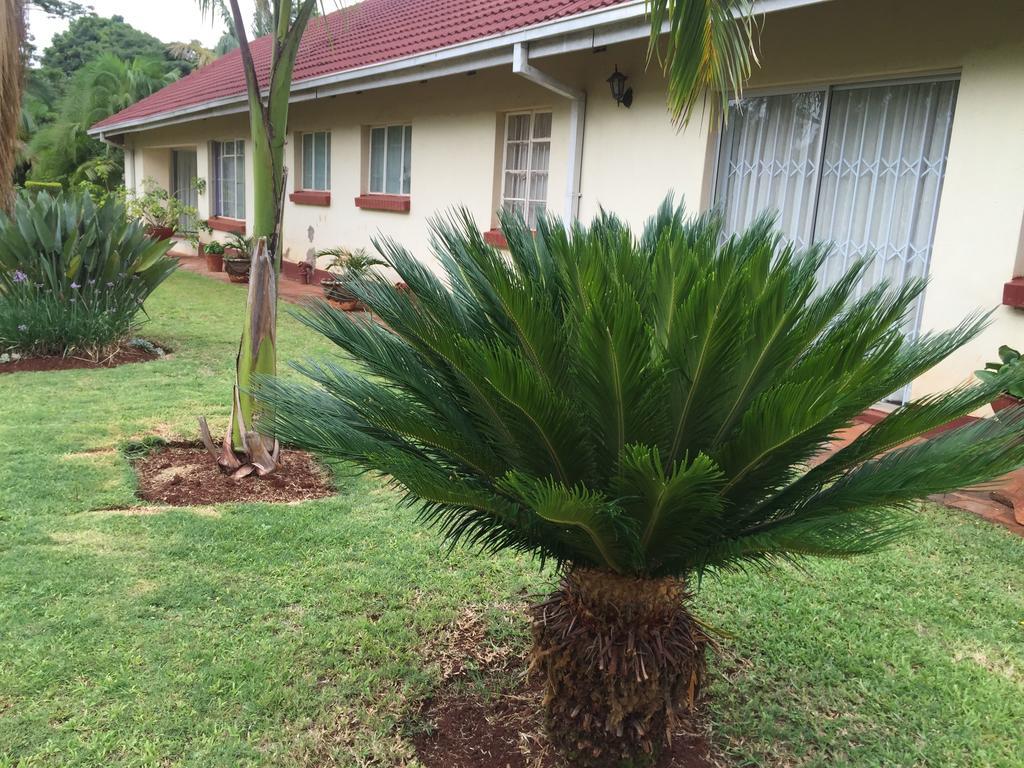 Palm Villa Harare Dış mekan fotoğraf
